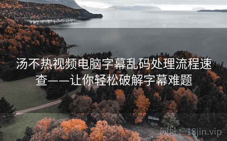 汤不热视频电脑字幕乱码处理流程速查——让你轻松破解字幕难题