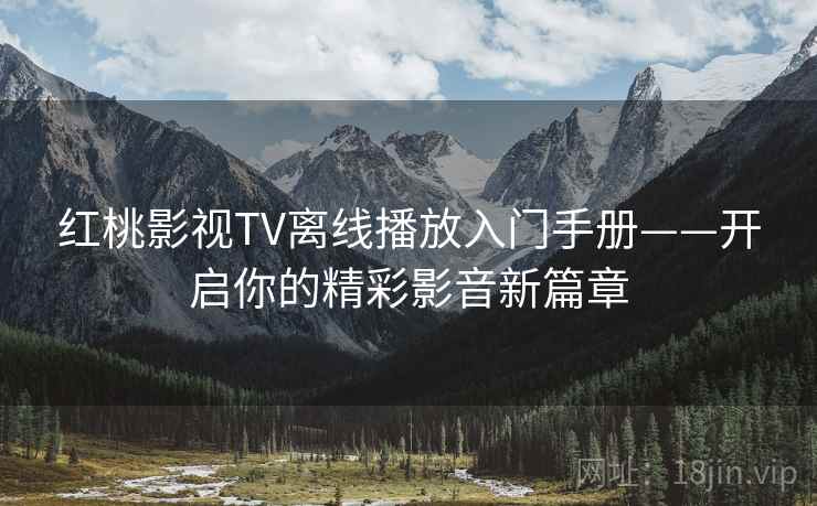 红桃影视TV离线播放入门手册——开启你的精彩影音新篇章