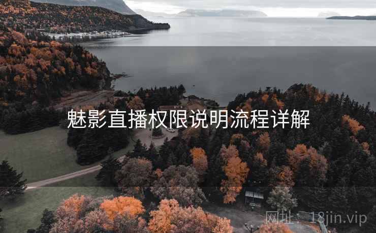 魅影直播权限说明流程详解