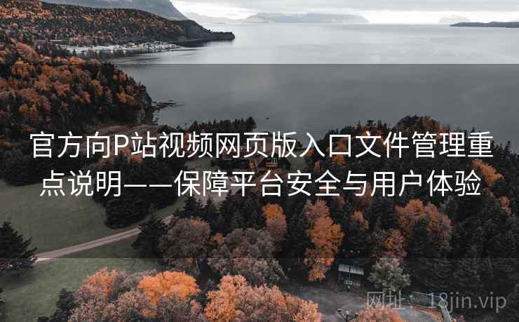 官方向P站视频网页版入口文件管理重点说明——保障平台安全与用户体验