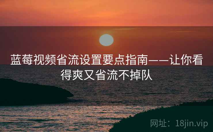 蓝莓视频省流设置要点指南——让你看得爽又省流不掉队