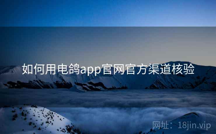如何用电鸽app官网官方渠道核验