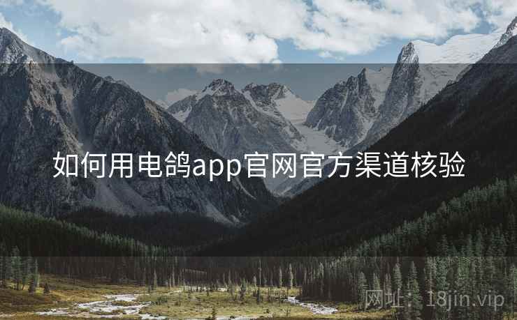如何用电鸽app官网官方渠道核验 如何用电鸽app官网官方渠道核验