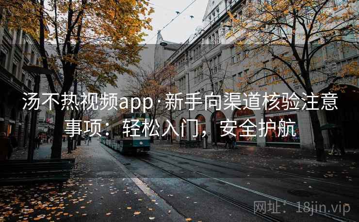 汤不热视频app·新手向渠道核验注意事项：轻松入门，安全护航